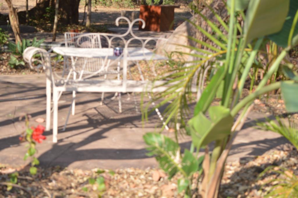 Copacopa Lodge And Conference Centre Punda Maria المظهر الخارجي الصورة