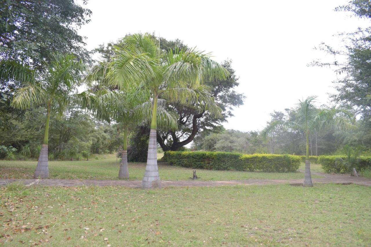 Copacopa Lodge And Conference Centre Punda Maria المظهر الخارجي الصورة