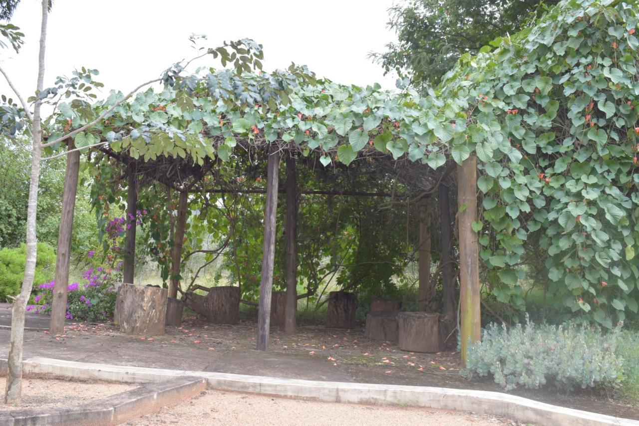 Copacopa Lodge And Conference Centre Punda Maria المظهر الخارجي الصورة