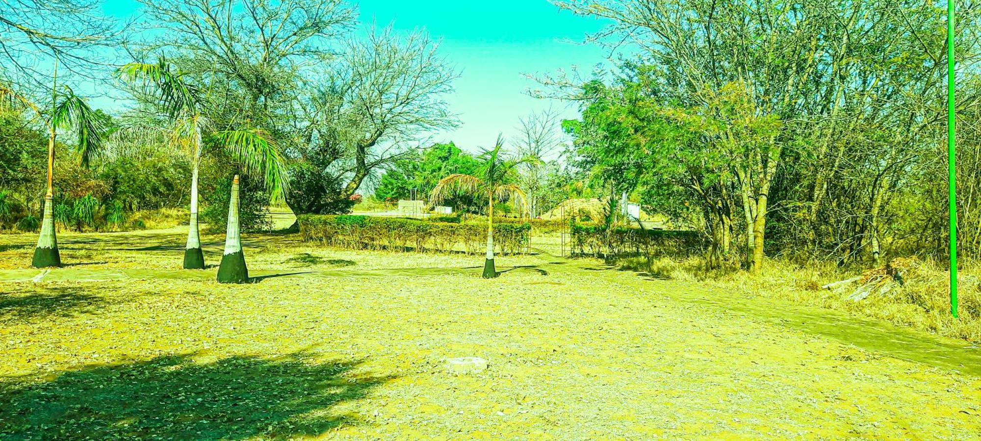 Copacopa Lodge And Conference Centre Punda Maria المظهر الخارجي الصورة